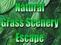                                                                     Natural Grass Scenery Escape ﺔﺒﻌﻟ