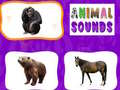                                                                     Animal Sounds ﺔﺒﻌﻟ