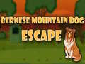                                                                     Bernese Mountain Dog Escape ﺔﺒﻌﻟ