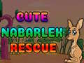                                                                     Cute Nabarlek Rescue ﺔﺒﻌﻟ