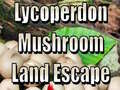                                                                     Lycoperdon Mushroom Land Escape ﺔﺒﻌﻟ