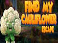                                                                     Find By Cauliflower Escape  ﺔﺒﻌﻟ