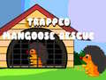                                                                     Trapped Mangoose Rescue ﺔﺒﻌﻟ