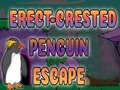                                                                     Erect Crested Penguin Escape ﺔﺒﻌﻟ