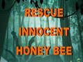                                                                     Rescue Innocent Honey Bee  ﺔﺒﻌﻟ