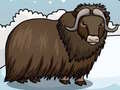                                                                     Rescue The Musk Ox ﺔﺒﻌﻟ