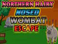                                                                     Northern hairy nosed wombat Escape ﺔﺒﻌﻟ