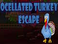                                                                     Ocellated Turkey Escape ﺔﺒﻌﻟ