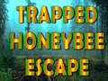                                                                     Trapped Honeybee Escape ﺔﺒﻌﻟ