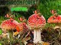                                                                     Mushroom Forest Adventure ﺔﺒﻌﻟ