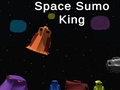                                                                     Space Sumo King ﺔﺒﻌﻟ