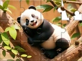                                                                     Jigsaw Puzzle: Panda On Tree ﺔﺒﻌﻟ