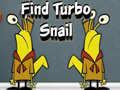                                                                     Find Turbo Snail ﺔﺒﻌﻟ