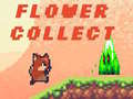                                                                     Flower Collect ﺔﺒﻌﻟ