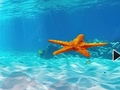                                                                     Escape From Underwater Starfish ﺔﺒﻌﻟ