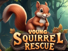                                                                     Young Squirrel Rescue ﺔﺒﻌﻟ