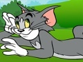                                                                     Tom and Jerry ATV Adventure ﺔﺒﻌﻟ