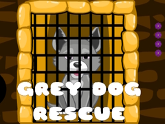                                                                     Grey Dog Rescue ﺔﺒﻌﻟ