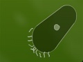                                                                     Microbe kombat ﺔﺒﻌﻟ