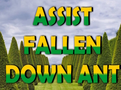                                                                      Assist Fallen Down Ant ﺔﺒﻌﻟ