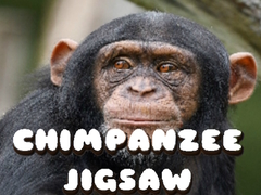                                                                     Chimpanzee Jigsaw ﺔﺒﻌﻟ