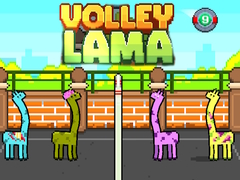                                                                     Volley Lama ﺔﺒﻌﻟ