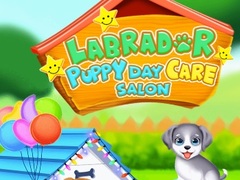                                                                     Labrador Puppy Daycare Salon ﺔﺒﻌﻟ