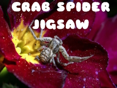                                                                     Crab Spider Jigsaw ﺔﺒﻌﻟ