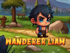                                                                     Wanderer Liam ﺔﺒﻌﻟ