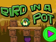                                                                     Bird In A Pot ﺔﺒﻌﻟ