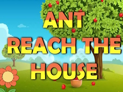                                                                     Ant Reach the House ﺔﺒﻌﻟ