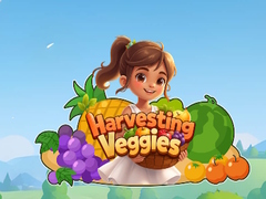                                                                     Harvesting Veggies ﺔﺒﻌﻟ