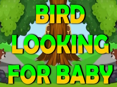                                                                     Bird Looking For Baby ﺔﺒﻌﻟ