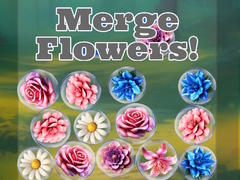                                                                     Merge Flowers! ﺔﺒﻌﻟ