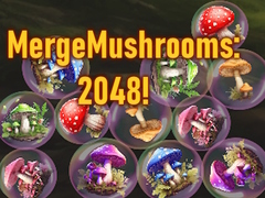                                                                     MergeMushrooms: 2048! ﺔﺒﻌﻟ