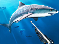                                                                     Hunting Underwater Spearfishing ﺔﺒﻌﻟ