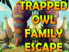                                                                     Trapped Owl Family Escape ﺔﺒﻌﻟ