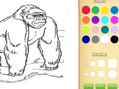                                                                     Zoo Animals Coloring Book for Kids ﺔﺒﻌﻟ
