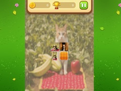                                                                     Farm Cat Memory Match ﺔﺒﻌﻟ