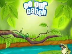                                                                     Colour Catch ﺔﺒﻌﻟ