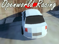                                                                     Openworld Racing ﺔﺒﻌﻟ