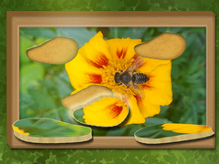                                                                     Find & Restore: Hidden Puzzle ﺔﺒﻌﻟ