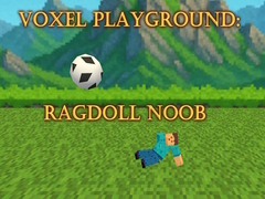                                                                     Voxel Playground: Ragdoll Noob ﺔﺒﻌﻟ
