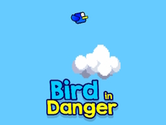                                                                     Bird in Danger ﺔﺒﻌﻟ