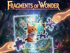                                                                     Fragments of Wonder ﺔﺒﻌﻟ