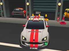                                                                     Toy Rally Cars Racing 3D ﺔﺒﻌﻟ
