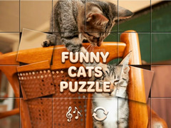                                                                     Funny Cats Puzzle ﺔﺒﻌﻟ