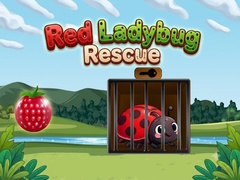                                                                     Red Ladybug Rescue ﺔﺒﻌﻟ