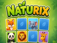                                                                     Naturix ﺔﺒﻌﻟ