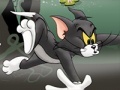                                                                     Tom And Jerry Chase In Marsh ﺔﺒﻌﻟ